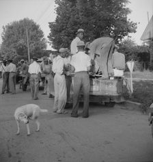 Negro cotton hoers, Greenville, Mississippi, 1937. Creator: Dorothea Lange