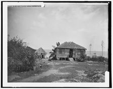 Negro cabin, Foxhill, Nassau, Bahama Islds., c1901. Creator: William H. Jackson