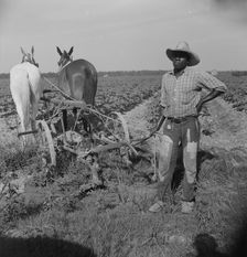 Negro cropper near Lake Dick, Arkansas, 1938. Creator: Dorothea Lange