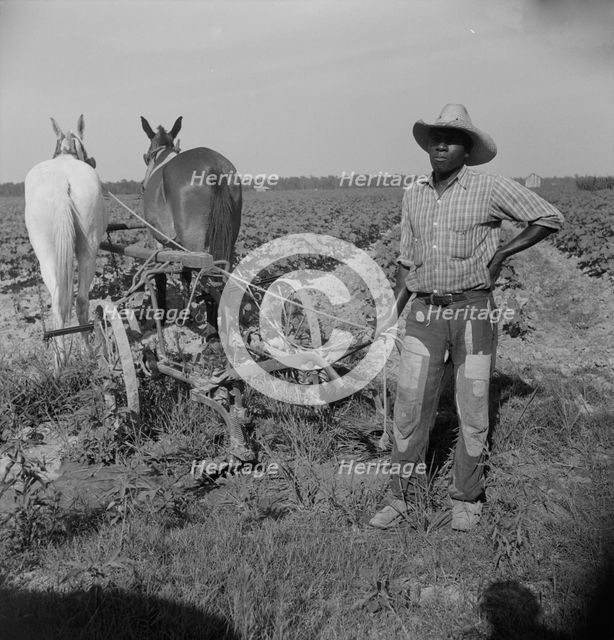 Negro cropper near Lake Dick, Arkansas, 1938. Creator: Dorothea Lange.