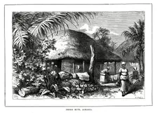 Negro Huts, Jamaica 19th century