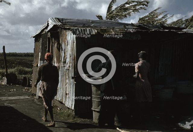 Negro migratory workers and one shack, Belle Glade, Fla., 1941. Creator: Marion Post Wolcott.