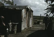 Negro migratory workers by a shack, Belle Glade, Fla., 1941. Creator: Marion Post Wolcott