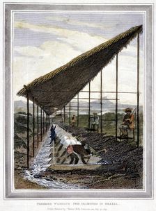 Negro slaves washing for diamonds watched over by supervisors with whips, Brazil, 1815