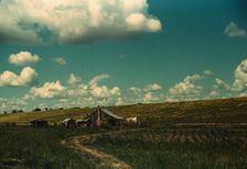 Negro tenant's home beside the Mississippi River levee, near Lake Providence, La., 1940. Creator: Marion Post Wolcott