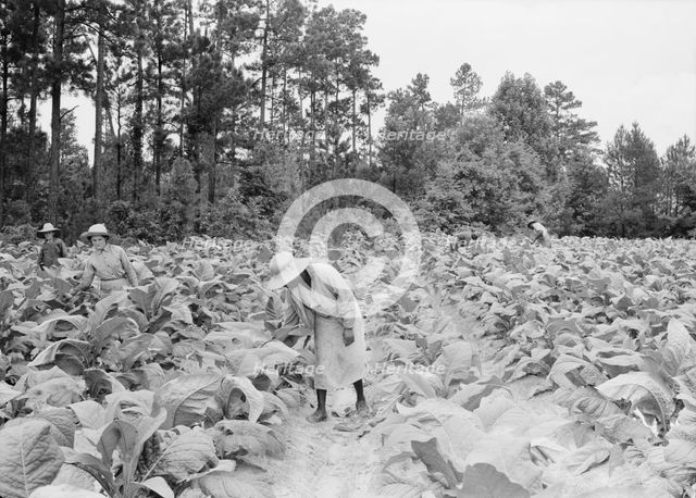 Negro tenants, men and women, and white owner's children..., Granville County, North Carolina, 1939. Creator: Dorothea Lange.