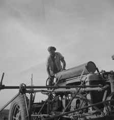 Negro tractor driver, Aldridge Plantation, Mississippi, 1937. Creator: Dorothea Lange