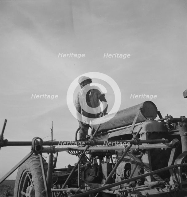 Negro tractor driver, Aldridge Plantation, Mississippi, 1937. Creator: Dorothea Lange.
