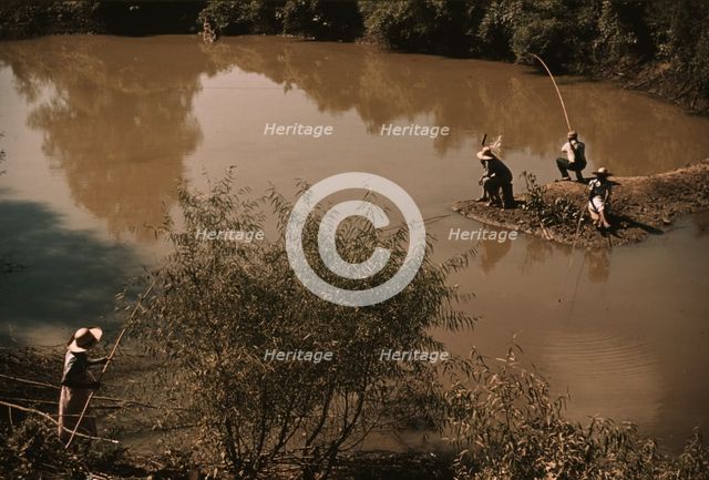 Negroes fishing in creek near cotton plantations outside Belzoni, Miss., 1939. Creator: Marion Post Wolcott.