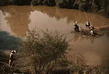 Negroes fishing in creek near cotton plantations outside Belzoni, Miss., 1939. Creator: Marion Post Wolcott
