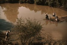 Negroes fishing in creek near cotton plantations outside Belzoni, Miss., 1939. Creator: Marion Post Wolcott