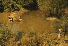 Negroes fishing in creek near cotton plantations outside Belzoni, Miss. Delta, 1939. Creator: Marion Post Wolcott