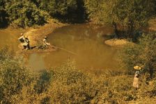 Negroes fishing in creek near cotton plantations outside Belzoni, Miss. Delta, 1939. Creator: Marion Post Wolcott