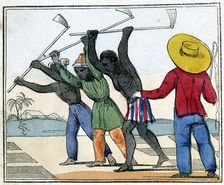 Negroes Holing the Cane-Field 1826