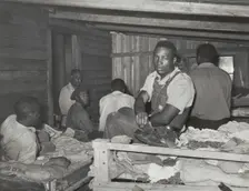 Negroes in bunkhouse in strawberry fields near Hammond, Louisiana; Note crude..., April 1939. Creators: Farm Security Administration, Russell Lee
