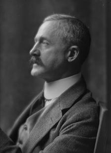 Nelson, Mr., portrait photograph, 1915 June 3. Creator: Arnold Genthe