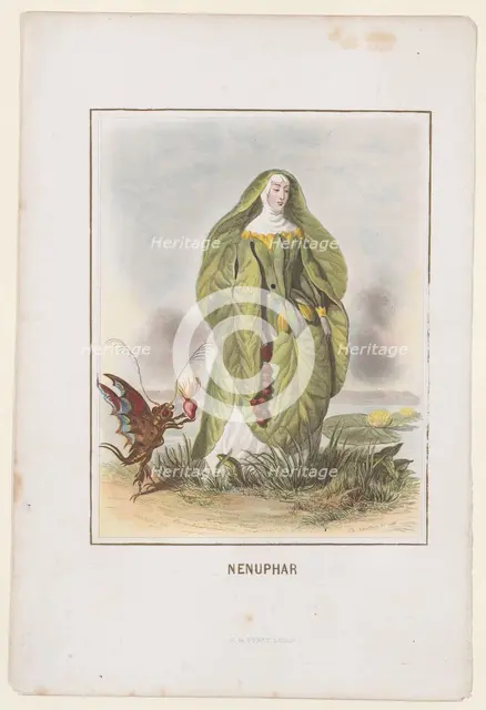 Nenuphar, from Les Fleurs Animées, 1847. Creator: Charles-Michel Geoffroy.