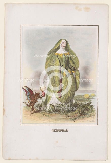 Nenuphar, from Les Fleurs Animées, 1847. Creator: Charles-Michel Geoffroy.