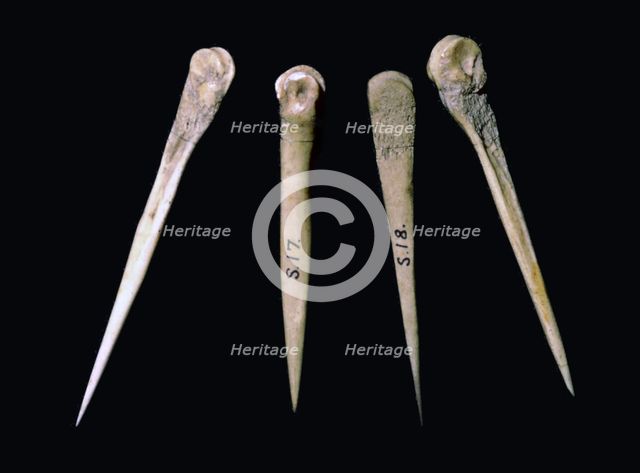 Neolithic bone pins. Artist: Unknown