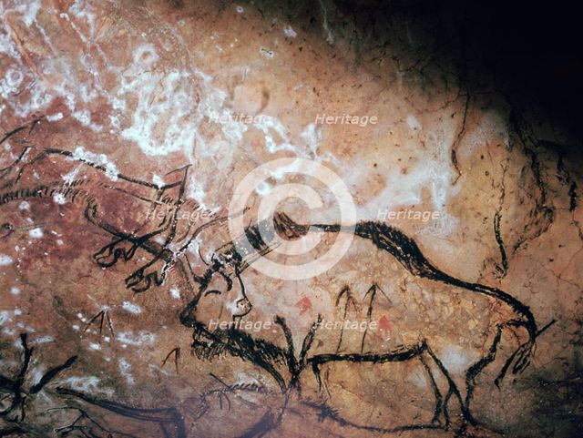 Neolithic cave-painting of a wounded bison. Artist: Unknown