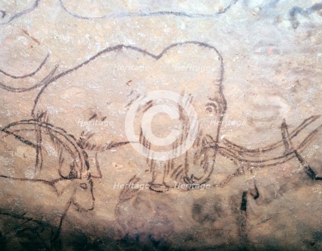 Neolithic cave-painting of mammoth and ibexes. Artist: Unknown