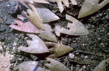 Neolithic flint arrowheads