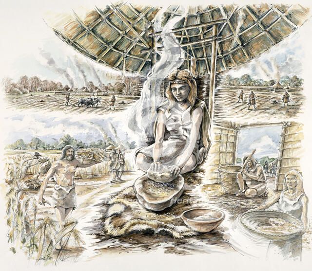 Neolithic Grain Production, (c1990-2010). Artist: Peter Dunn.