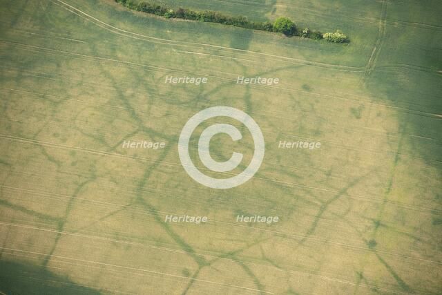 Neolithic long mortuary enclosures, Stoke Hammond, Buckinghamshire, 2011. Artist: Damian Grady.