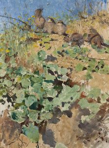 Nestlings of Red-Backed Shrike, 1887. Creator: Bruno Liljefors