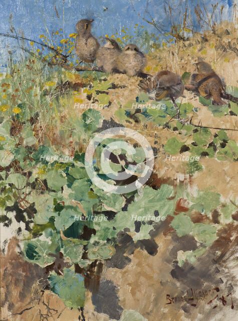 Nestlings of Red-Backed Shrike, 1887. Creator: Bruno Liljefors.