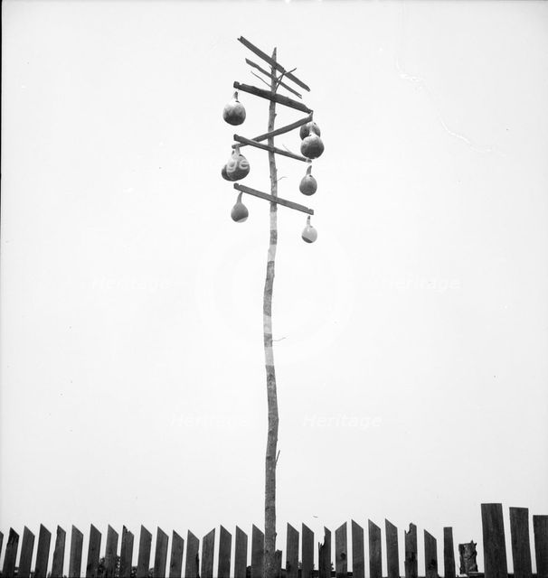 "Nests for the martin, to keep the hawks away", familiar sight in the Georgia rural landscape, 1936. Creator: Dorothea Lange.