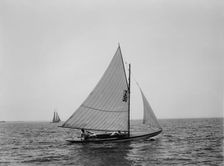 Nit, 1896 June 22. Creator: John S Johnston