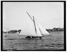 Nixie, 1890 June 28. Creator: Unknown