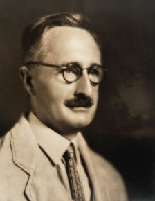 Nicolaas Hendrik Swellengrebel. Creator: Blackstone Studios
