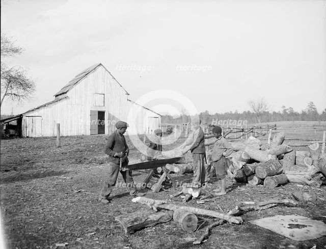 "Nigger in the wood pile", c1905. Creator: Unknown.