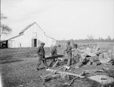 "Nigger in the wood pile", c1905. Creator: Unknown