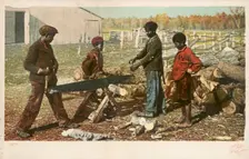 Nigger in the Woodpile, ca.1898 - 1931. Creator: Detroit Publishing Company