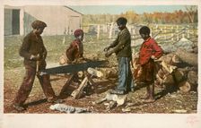 Nigger in the Woodpile, ca.1898 - 1931. Creator: Detroit Publishing Company