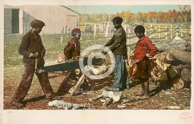 Nigger in the Woodpile, ca.1898 - 1931. Creator: Detroit Publishing Company.