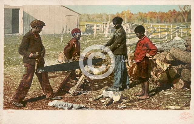Nigger in the Woodpile, ca.1898 - 1931. Creator: Detroit Publishing Company.