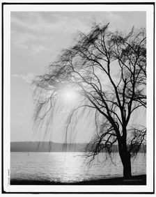 Night, c.between 1910 and 1920. Creator: Unknown