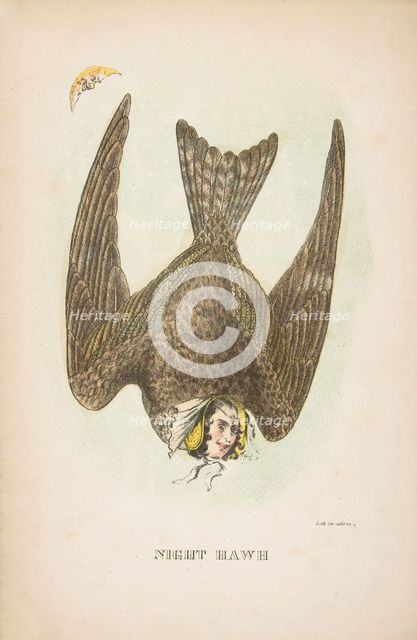 Night Hawk, from The Comic Natural History of the Human Race, 1851. Creators: Henry Louis Stephens, L. Rosenthal.