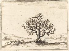 Nightingale in a Bush, 1628. Creator: Jacques Callot