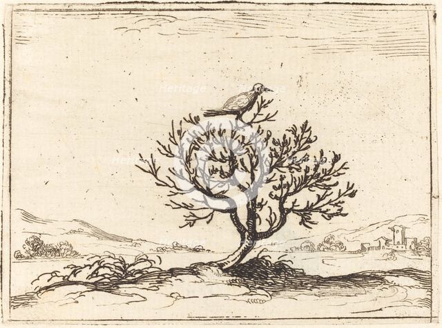 Nightingale in a Bush, 1628. Creator: Jacques Callot.