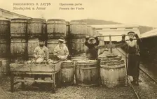 Nikolaevsk-on-Amur. Pressing fish, 1900. Creator: Unknown