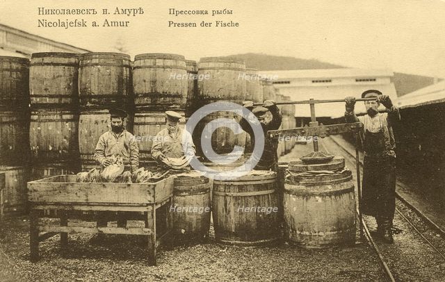 Nikolaevsk-on-Amur. Pressing fish, 1900. Creator: Unknown.