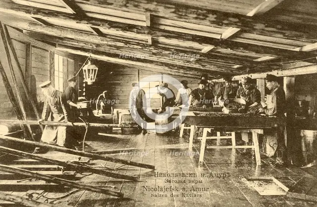 Nikolaevsk-on-Amur. Salting caviar, 1900. Creator: Unknown.