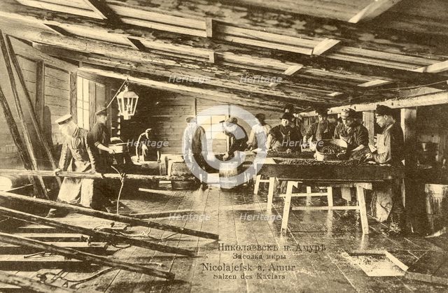 Nikolaevsk-on-Amur. Salting caviar, 1900. Creator: Unknown.
