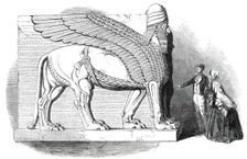 Nimroud Sculptures Just Received at the British Museum - Human-Headed and Winged Lion, 1850. Creator: Smyth