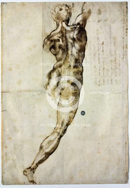 Nude from behind, c. 1504. Artist: Buonarroti, Michelangelo (1475-1564)